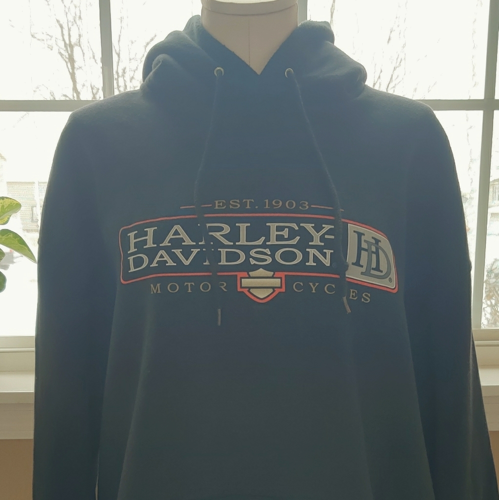 Harley Davidson Hoodie Twin Cities Lakeville,MN